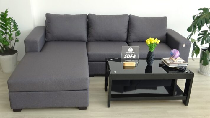 Sofa Thạnh Phú Mỹ có nhiều kiểu dáng, mẫu mã khác nhau, từ sofa văng, sofa góc, sofa giường đến sofa đơn, sofa thư giãn. Khách hàng có thể dễ dàng lựa chọn được bộ sofa phù hợp với không gian phòng khách của gia đình.