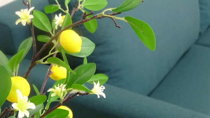 Sofa Thạnh Phú Mỹ có nhiều mức giá khác nhau, phù hợp với nhiều đối tượng khách hàng. Ngoài ra, cửa hàng cũng thường xuyên có các chương trình khuyến mãi, giảm giá để khách hàng có thể mua được sofa với giá tốt nhất.