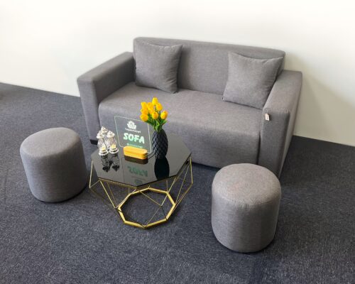 Sofa Thạnh Phú Mỹ có nhiều mức giá khác nhau, phù hợp với nhiều đối tượng khách hàng. Ngoài ra, cửa hàng cũng thường xuyên có các chương trình khuyến mãi, giảm giá để khách hàng có thể mua được sofa với giá tốt nhất.