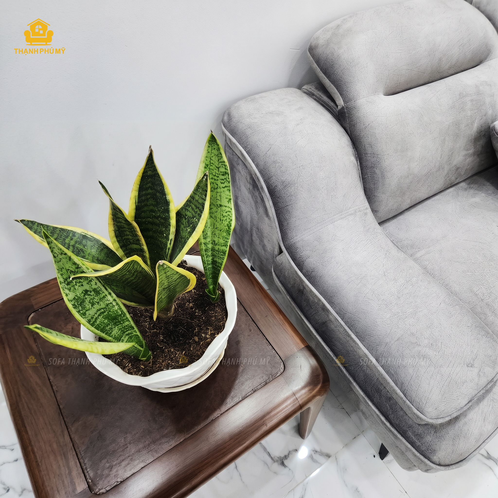 Sofa Góc L Vải Nhung 3m2x1m8 Đóng Theo Yêu Cầu Tại Buôn Ma Thuột - Ảnh 2