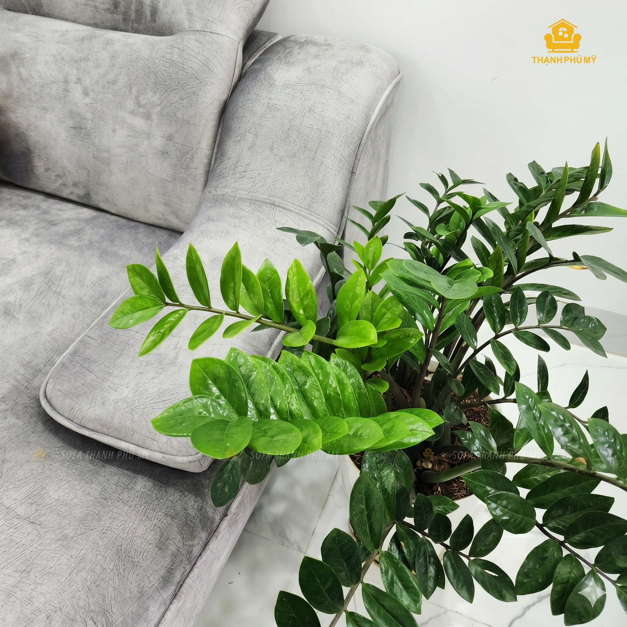 Sofa Góc L Vải Nhung 3m2x1m8 Đóng Theo Yêu Cầu Tại Buôn Ma Thuột - Ảnh 5